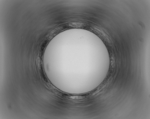 X0000113150371200909040937