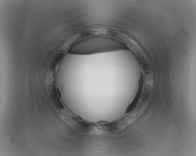 X0000113150372200909040937