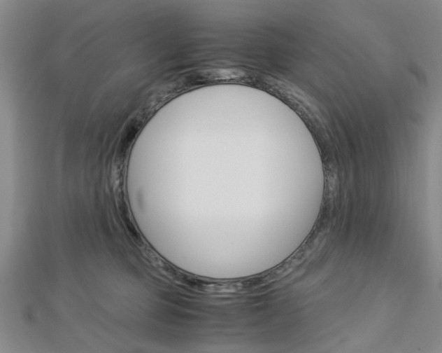 X0000113150373200909040937