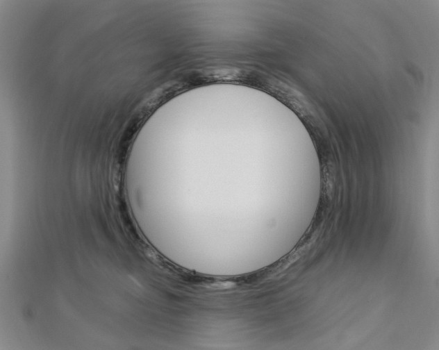 X0000113150374200909040937