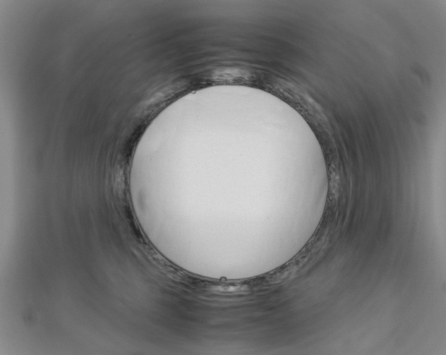 X0000113150375200909040937