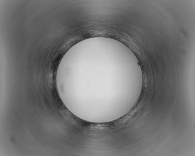 X0000113150378200909040937