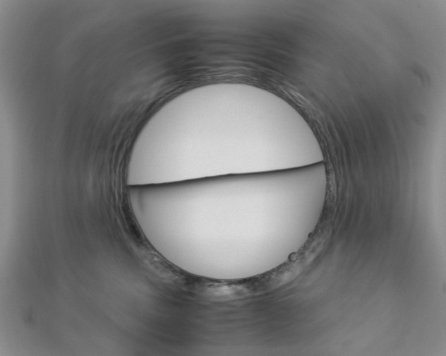 X0000113150379200909040937