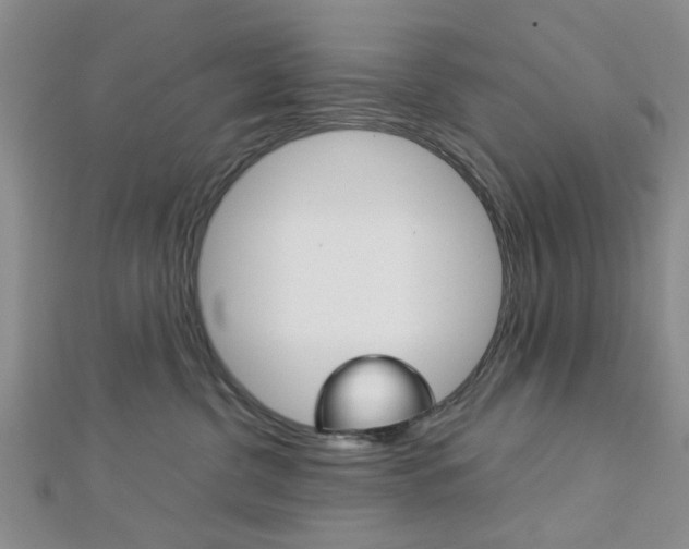 X0000113150380200909040937