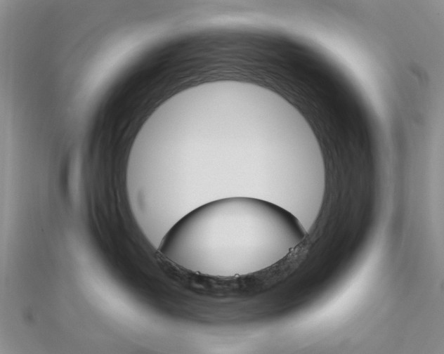 X0000113150382200909040937