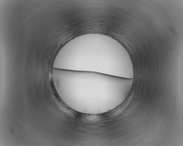 X0000113150383200909040937