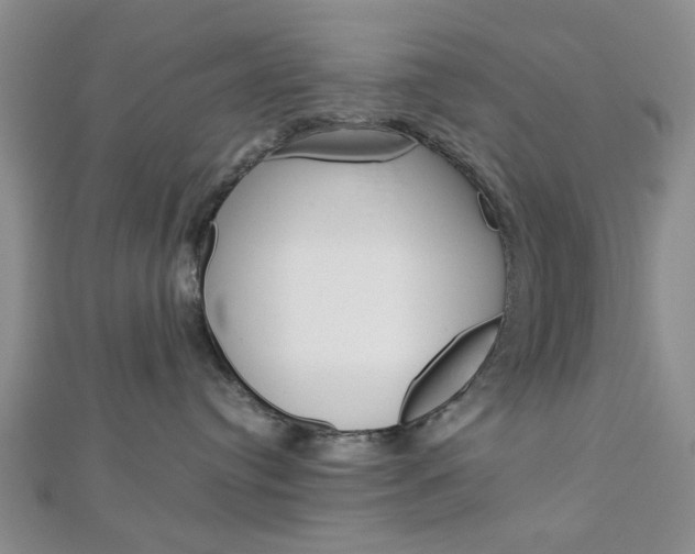 X0000113150384200909040937