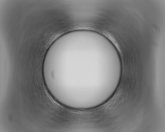 X0000113150385200909040936