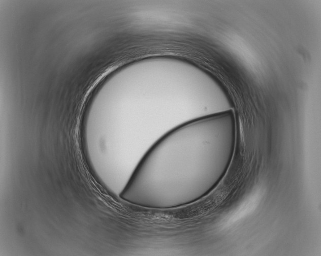 X0000113150387200909040936