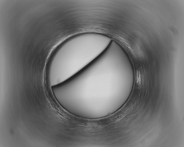 X0000113150388200909040936