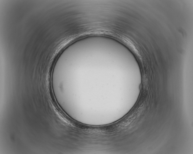 X0000113150389200909040936