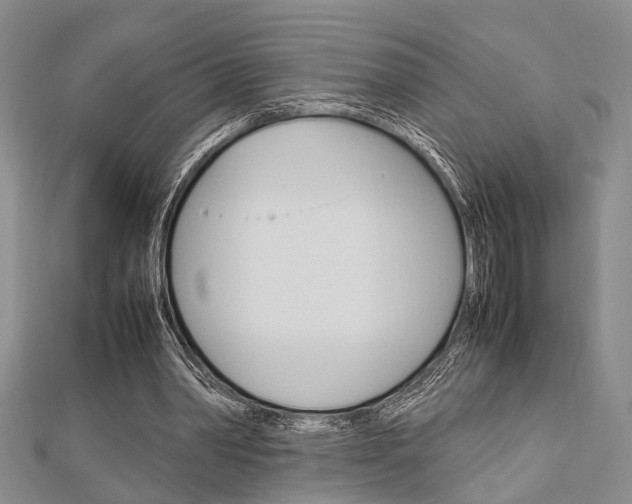 X0000113150390200909040936