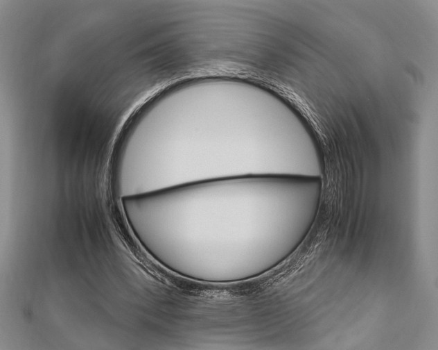 X0000113150392200909040936