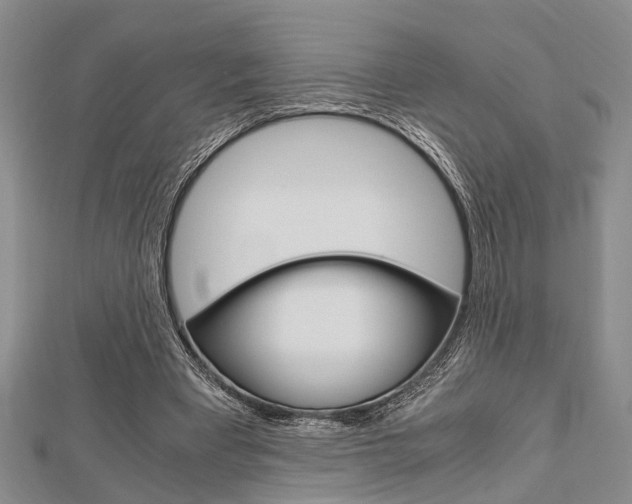 X0000113150393200909040936