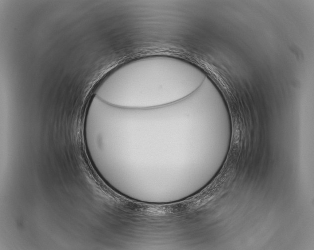 X0000113150394200909040936