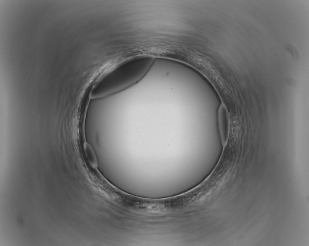 X0000113150395200909040936