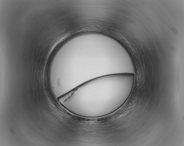 X0000113150396200909040936