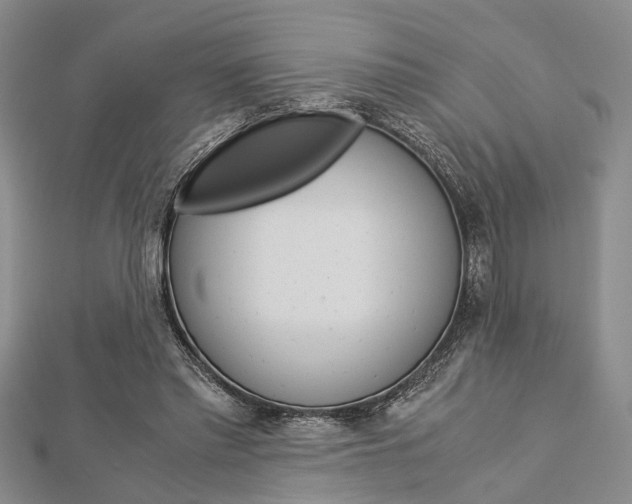 X0000113150397200909040936