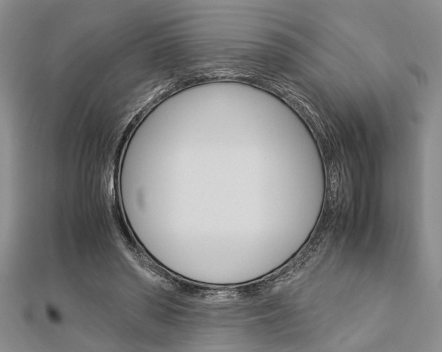 X0000113150398200909040936