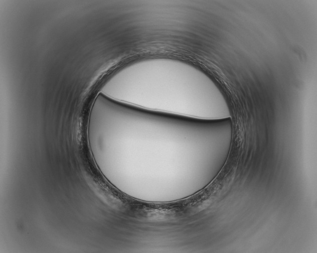 X0000113150400200909040936