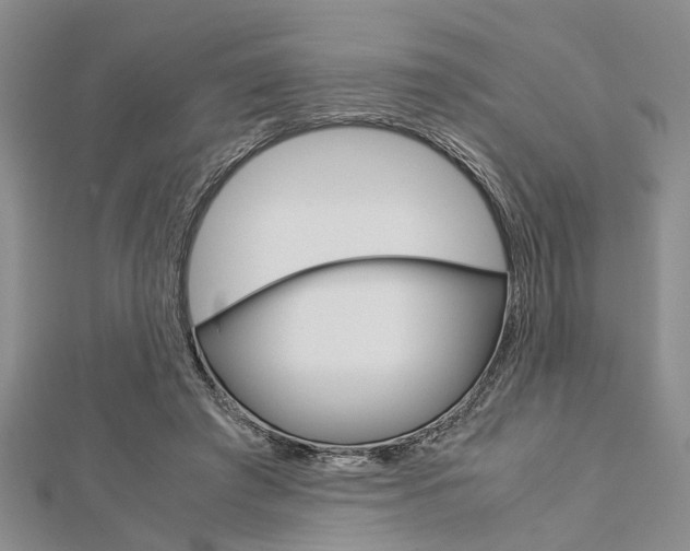 X0000113150401200909040936
