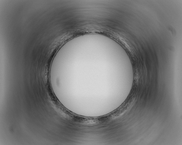 X0000113150402200909040936