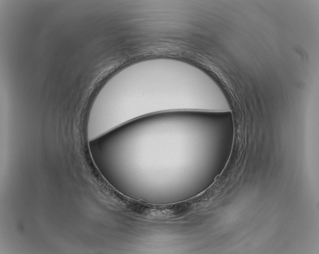 X0000113150403200909040936