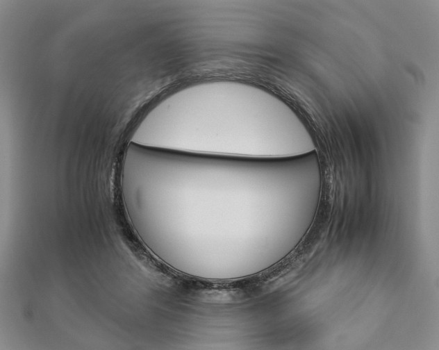X0000113150404200909040936