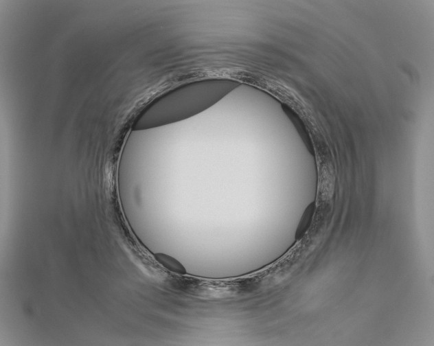 X0000113150405200909040936