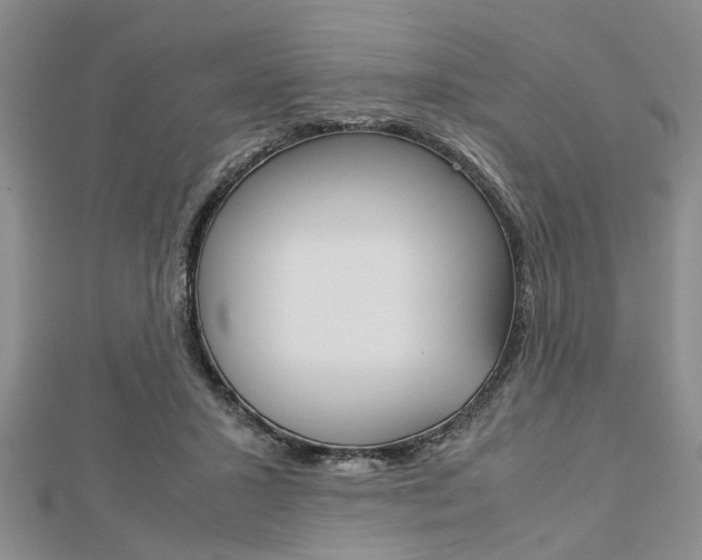 X0000113150407200909040936