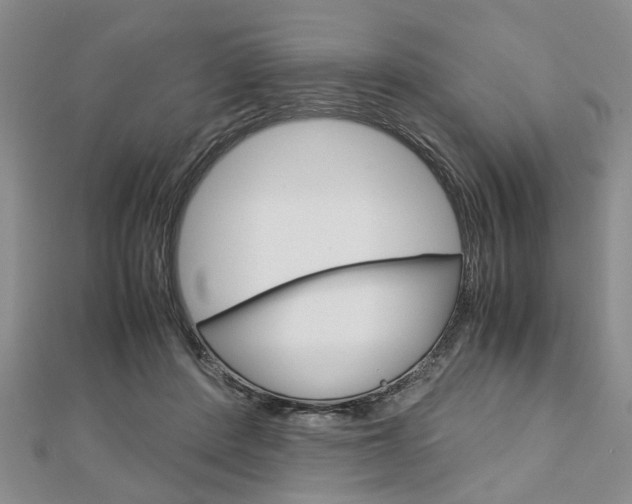 X0000113150408200909040936