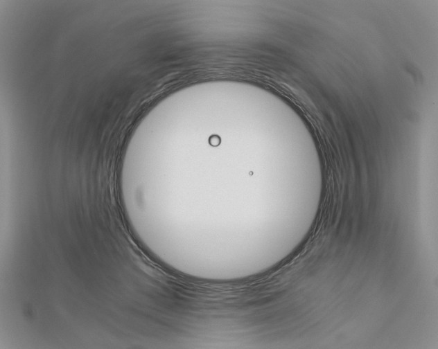 X0000113150409200909040936