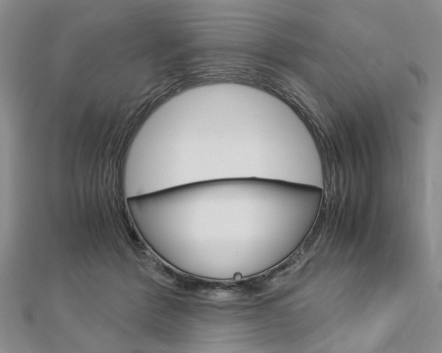 X0000113150412200909040936