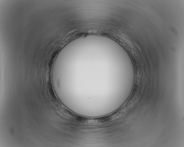 X0000113150413200909040936