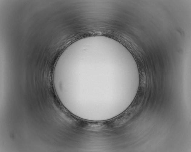 X0000113150414200909040936