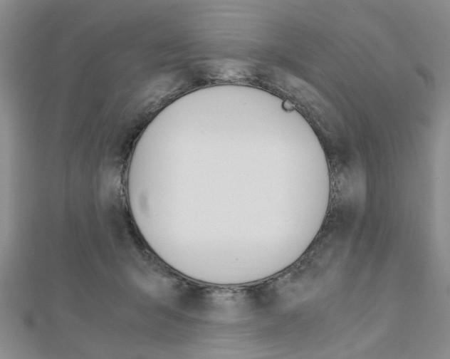 X0000113150415200909040936
