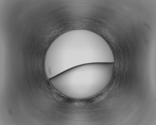 X0000113150416200909040936