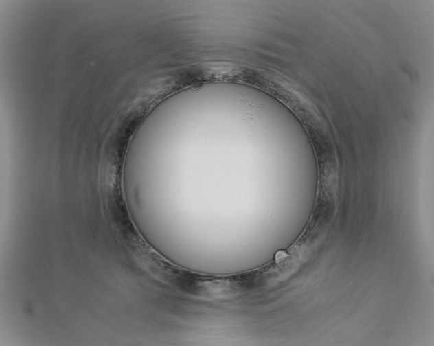 X0000113150417200909040936
