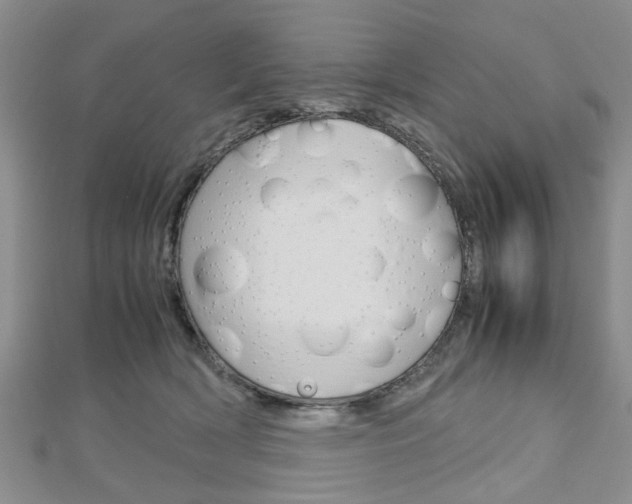 X0000113150418200909040936
