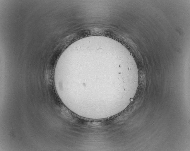 X0000113150419200909040936