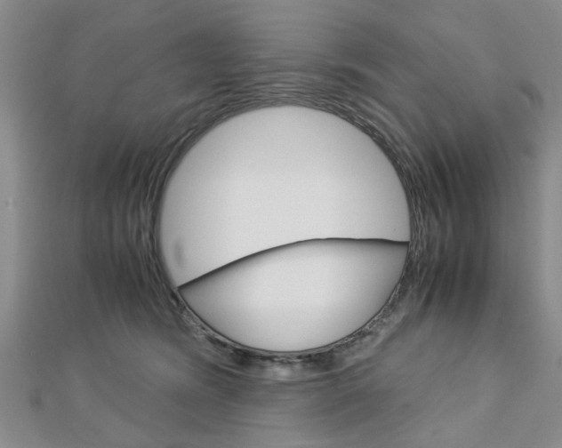 X0000113150420200909040936