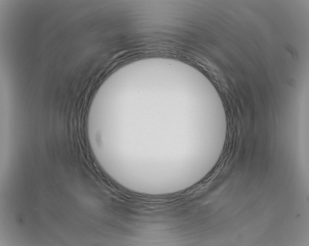 X0000113150421200909040936