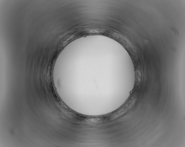X0000113150422200909040936