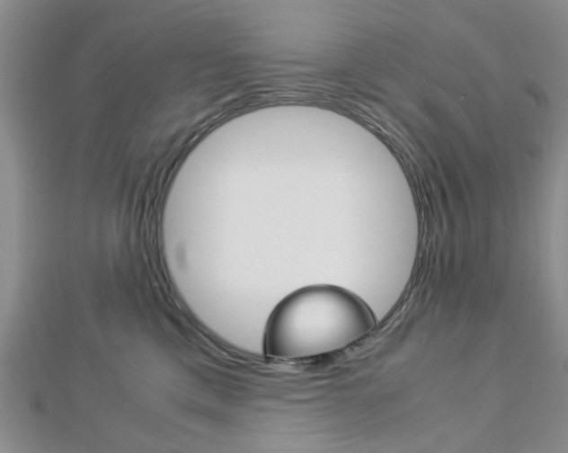 X0000113150425200909040936