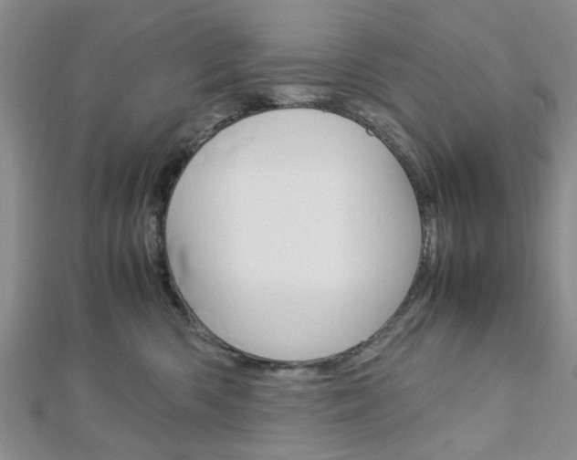 X0000113150426200909040936