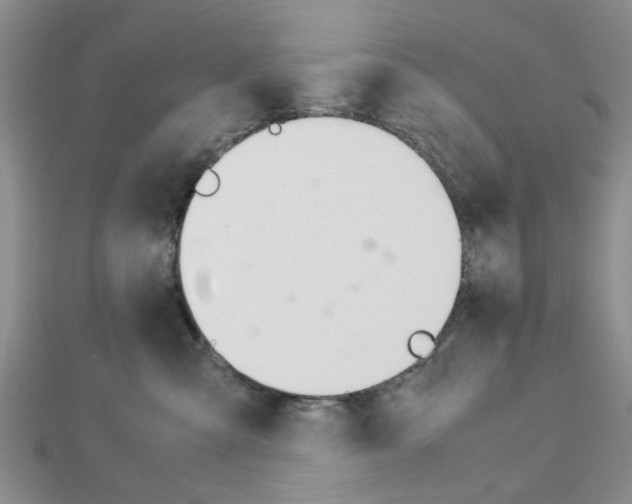 X0000113150427200909040936