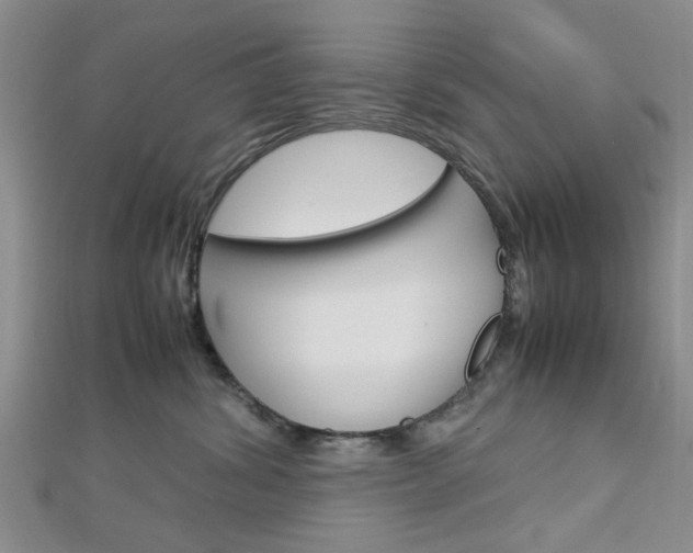 X0000113150428200909040936