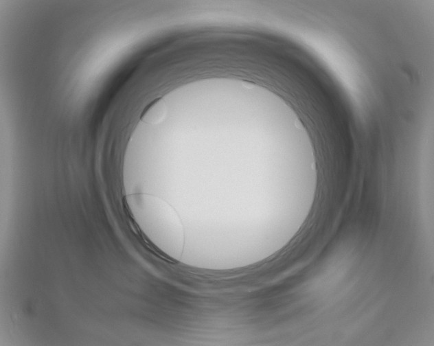 X0000113150431200909040936
