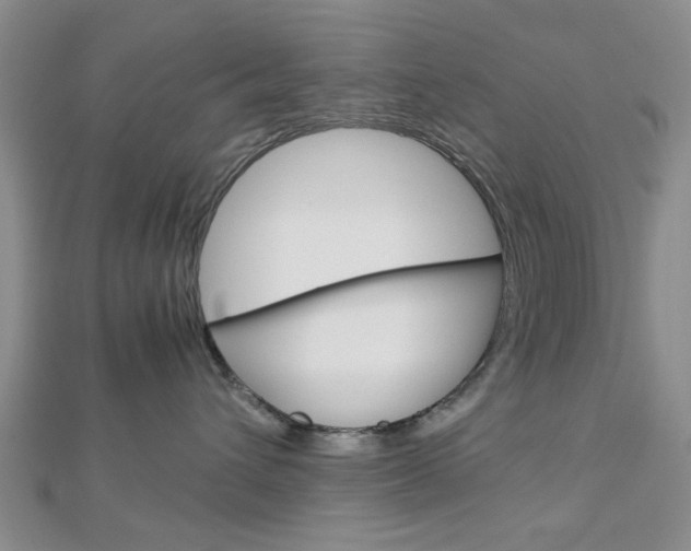 X0000113150432200909040936