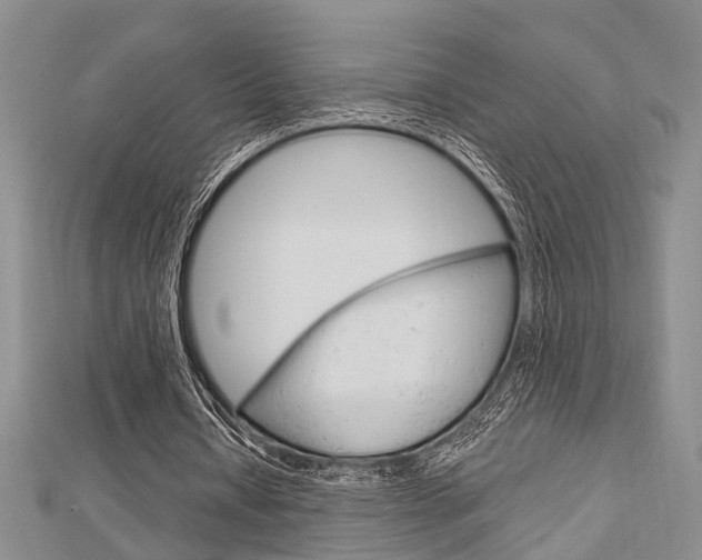 X0000113150434200909040935